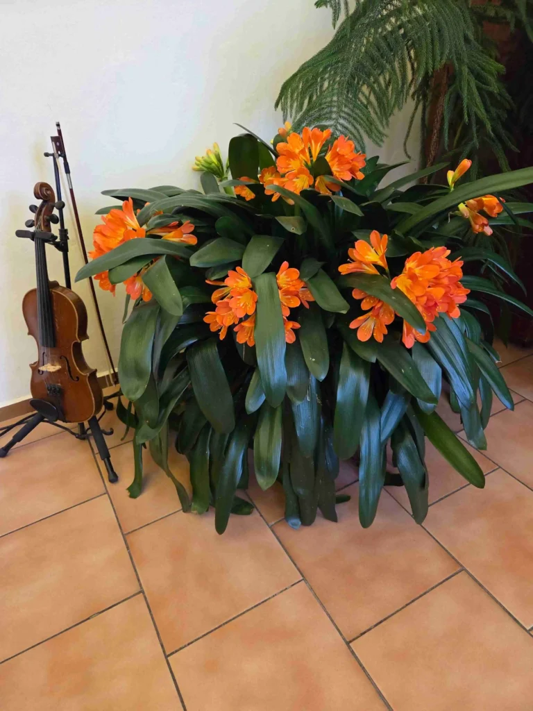 Kázání k neděli Díkuvzdání 2025