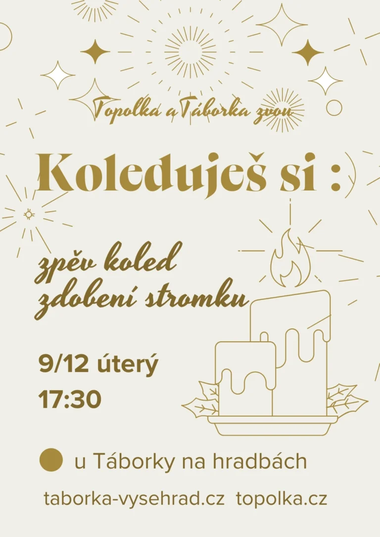 Zpěv koled a zdobení stromku